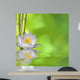 Nenufar with Bamboo and