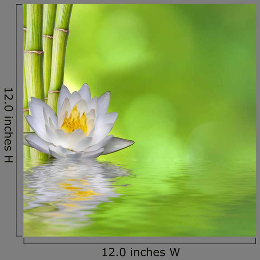 Nenufar with Bamboo and