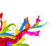 Colored splashes in abstract shape, isolated on white background Wall Decal
