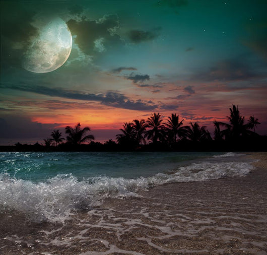 Moon Ocean and Palm