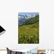 Wild Flowers in Swiss Alps Wall Mural