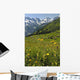 Wild Flowers in Swiss Alps Wall Mural