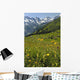 Wild Flowers in Swiss Alps Wall Mural