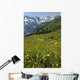 Wild Flowers in Swiss Alps Wall Mural