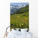 Wild Flowers in Swiss Alps Wall Mural