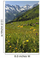 Wild Flowers in Swiss Alps Wall Mural