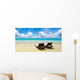 Tropical Sea