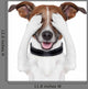 Hiding Covering Eye Dog