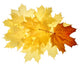 Autumn fall leaves Wall Decal