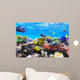 Coral and Fish Red
