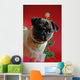 Pug in Front of a Christmas Tree Wall Mural