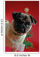 Pug in Front of a Christmas Tree Wall Mural