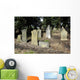 Old Family Gravestones