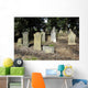 Old Family Gravestones