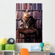 Brown Tabby Maine Coon Wall Mural