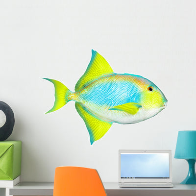 Tropical Reef Fish shown on a wall