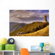Shipka Wall Mural