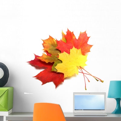 Maple Leaves Autumn Color Wall Decal shown on a wall