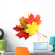 Maple leaves - autumn color. Wall Decal