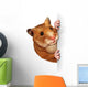 Hamster Holding A Blank Card Wall Decal