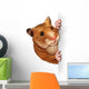 Hamster Holding A Blank Card Wall Decal