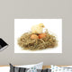 Beautiful Little Chicken Nest Wall Decal