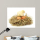 Beautiful Little Chicken Nest Wall Decal