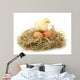 Beautiful Little Chicken Nest Wall Decal