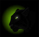 Panther
