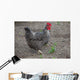 Hen Wall Mural