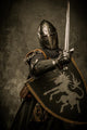 Medieval Knight Grey