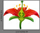 Flower parts Wall Decal