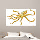 Blue-ringed Octopus
