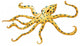 Blue-ringed Octopus