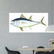 Atlantic Bluefin Tuna