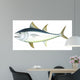 Atlantic Bluefin Tuna