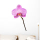 Purple orchid Wall Decal
