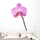 Purple orchid Wall Decal