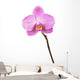 Purple orchid Wall Decal