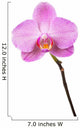 Purple orchid Wall Decal