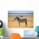 Zebra Posing and Curiously