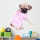 Mops Princess Looking behind Wall Mural