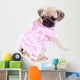 Mops Princess Looking behind Wall Mural
