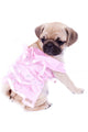 Mops Princess Looking behind Wall Mural