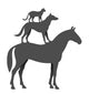 Animal Wall Decal