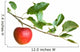 Apple Branch Wall Decal