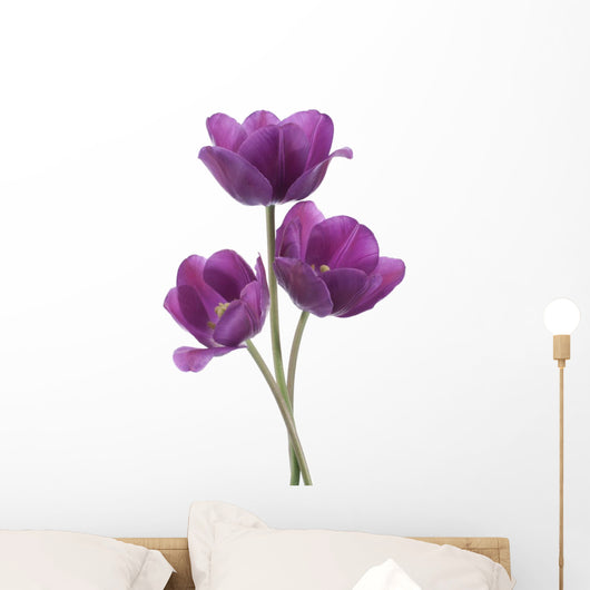 tulip Wall Decal