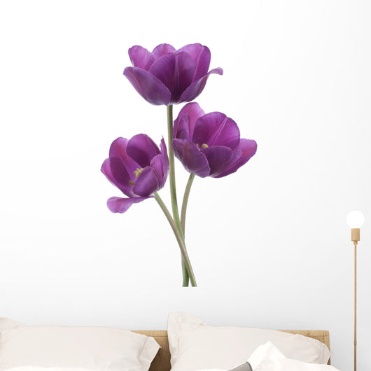 tulip Wall Decal
