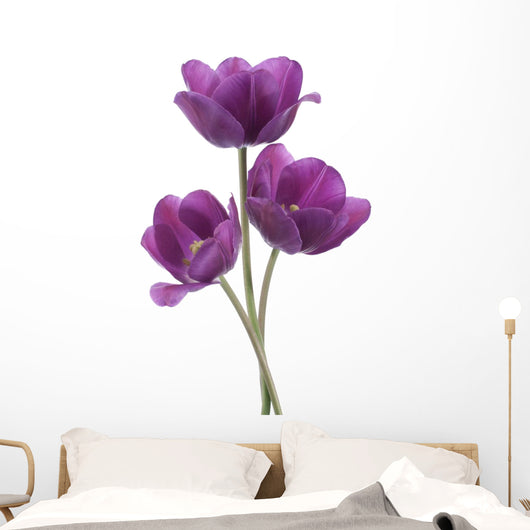 tulip Wall Decal