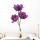 tulip Wall Decal